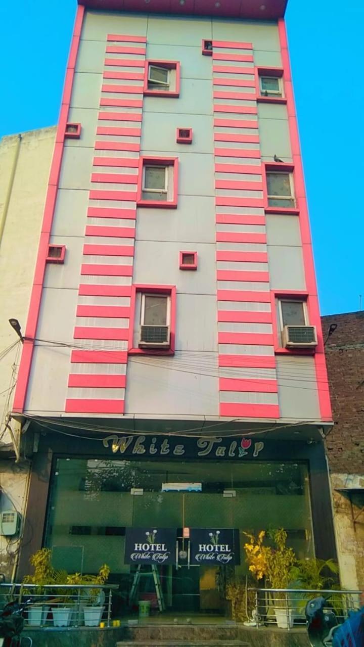 Hotel White Tulip 암리차르 외부 사진